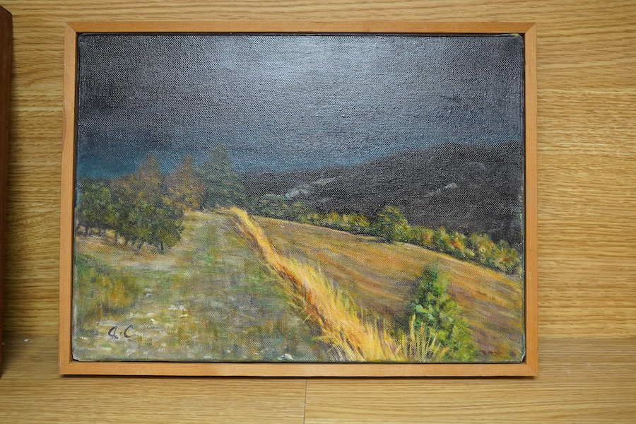 Contemporary School, Windswept landscape at night, monogrammed A. C., oil on canvas, together with a similar example by a different hand, 24 x 33cm